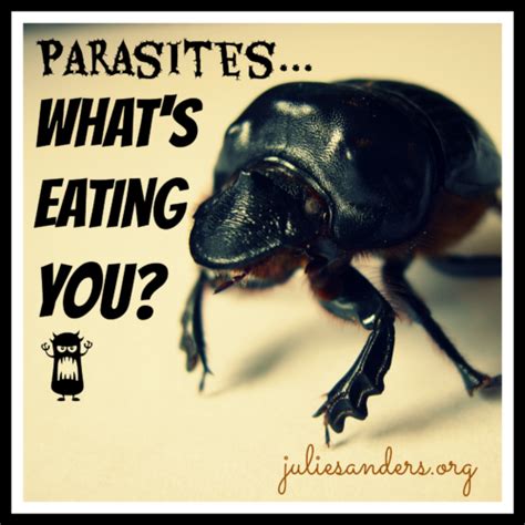 parasite porn